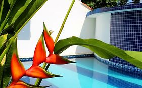 Recanto das Andorinhas Studios